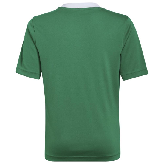 Adidas Παιδική κοντομάνικη μπλούζα Entrada 22 Jersey Tee Adidas Παιδική κοντομάνικη μπλούζα Entrada 22 Jersey Tee
